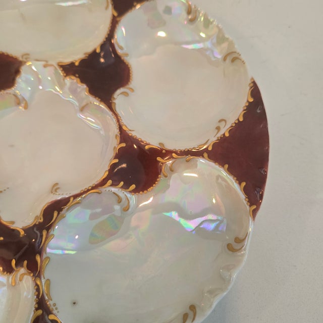 Antique Haviland Limoges Oyster Plate For Sale - Image 17 of 18