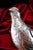 Silver Large Antique Edwardian Silver Partridge Bird Box from Boaz Moses Landeck, 1910s For Sale - Image 8 of 18