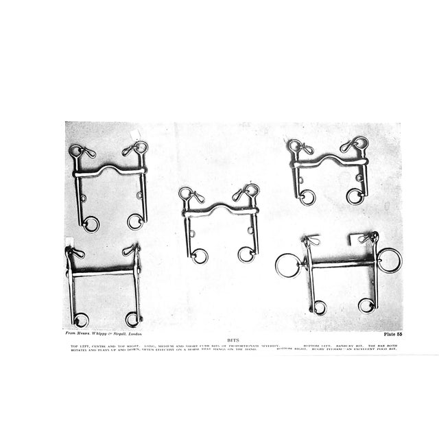 "Horsemanship: The Way of a Man With a Horse" 1948 Brooke, Maj. Gen. Geoffrey For Sale - Image 11 of 12