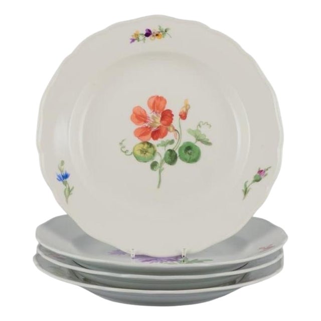 Porcelain Dinner Plates with Floral Motifs from Meissen, Germany, 1890s, Set of 4 For Sale