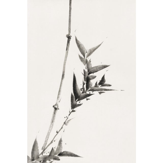 Hokusai Bamboo Study, Vintage Japanese Art Print, 24" X 36" For Sale