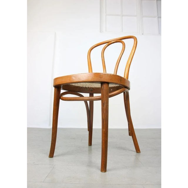 Set of Vintage No. 218 Dining Chairs by Michael Thonet For Sale - Image 9 of 13