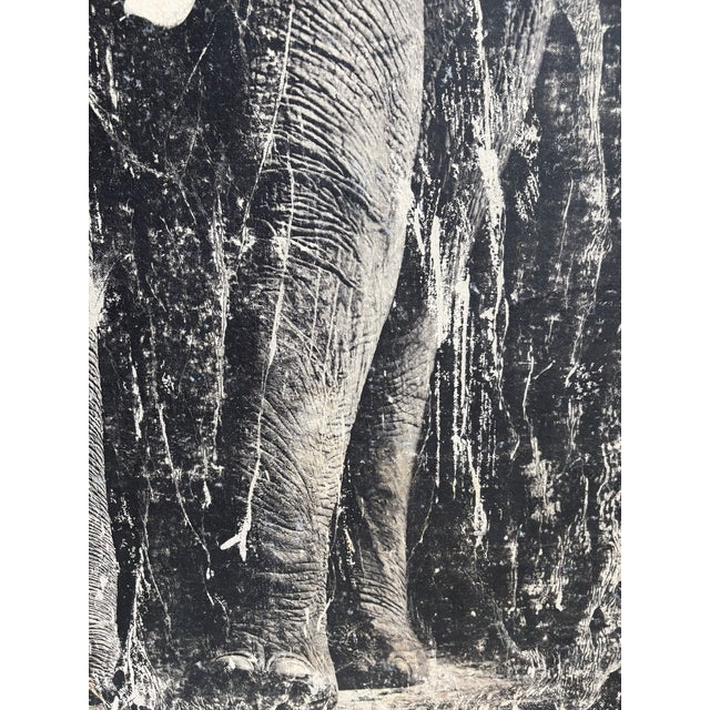 Modern Modern Screen Print - Elephant For Sale - Image 3 of 5