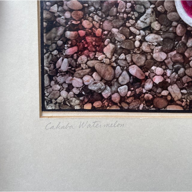 1978 Rita DeWitt Cahaba Watermelon Color Photograph For Sale - Image 4 of 5