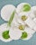 Cabbage Leaf Charger, Set of 4 For Sale - Image 4 of 6