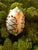 Featured on the Spring 2026 cover of Victoria Magazine, each one of Paige's heirloom Easter eggs are painstakingly hand-...