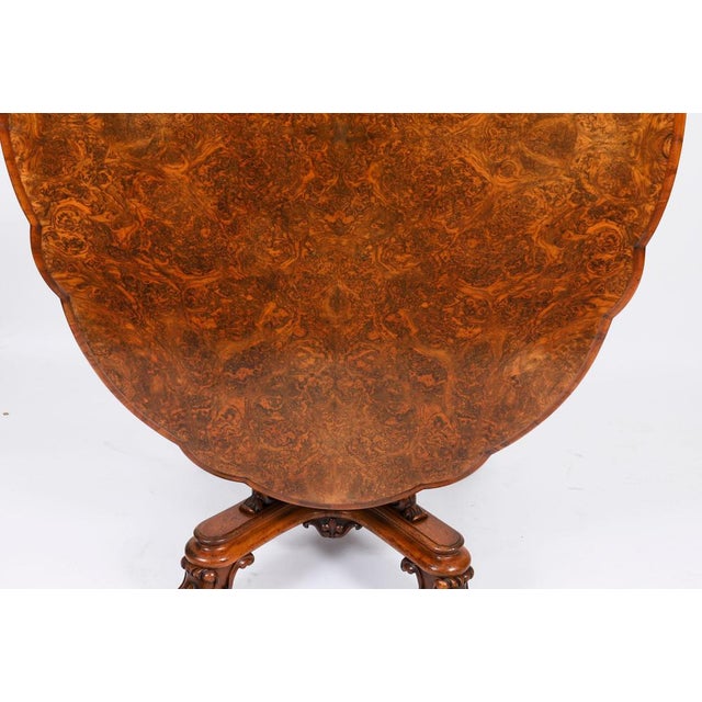 Antique Oval Tilt Top Loo Dining Table in Burr Walnut, 1800s For Sale - Image 9 of 18
