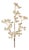 Glittered Champagne Berry Spray (Set of 6) For Sale
