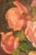 Charming Mid Century Framed Vintage Roses Flower Still Life Home Wall Decor For Sale - Image 4 of 11
