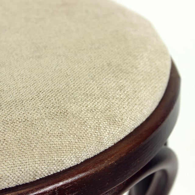 Brown Bentwood No. 73 Bar Stool from Ton, 1950s For Sale - Image 8 of 10