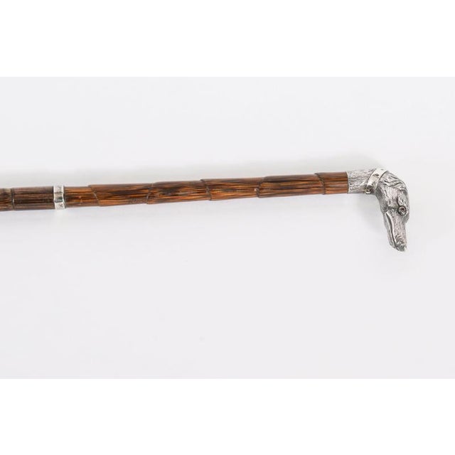 Antique Greyhound Head Sliver Handled Walking Stick Cane, 1890s For Sale - Image 4 of 12