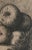 Aimé Barraud, Les pommes, Etching For Sale - Image 6 of 10