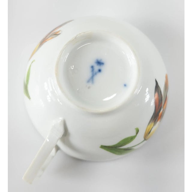 German Meissen Marcolini Period Teacup and Saucer With Tulips For Sale - Image 12 of 13