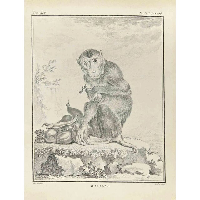 Juste Chevillet, Maimon, Etching, 1771 For Sale