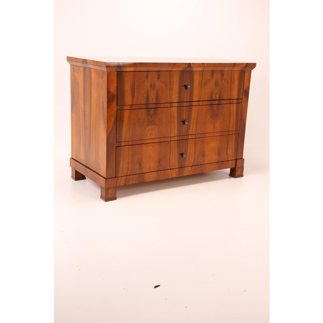 Brown Biedermeier Chest of Drawers in Walnut, 1830 For Sale - Image 8 of 16
