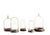 French Handblown Glass Bell Jar Display with Wooden Stand Marking Arc De Triomphe, Paris, Set of 5 For Sale - Image 10 of 10