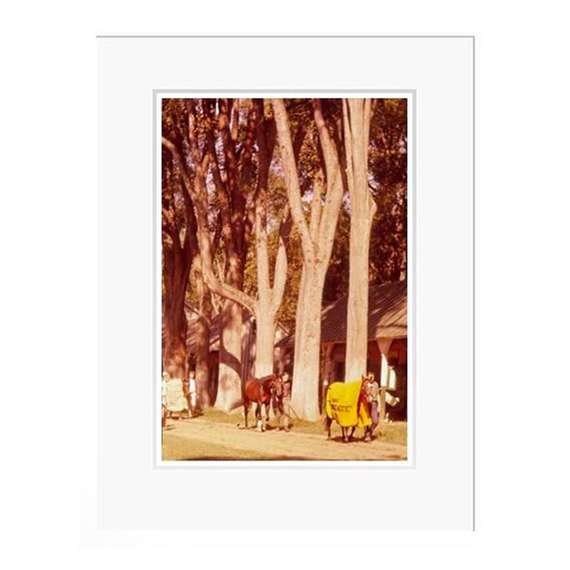 Horses and Stable Lads 1960 by Toni Frissell Framed C Print For Sale