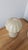 Small Gatto Cocoon Table Lamps by Achille and Pier Giacomo Castiglioni for Flos, 1960s, Set of 2 For Sale - Image 6 of 18