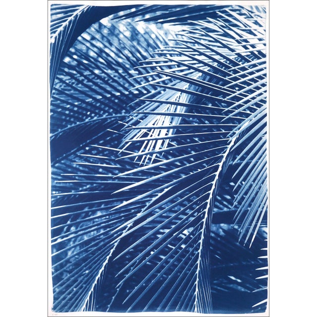 2021 "Majesty Palm Pattern" Handmade Cyanotype Print on Watercolor Paper For Sale