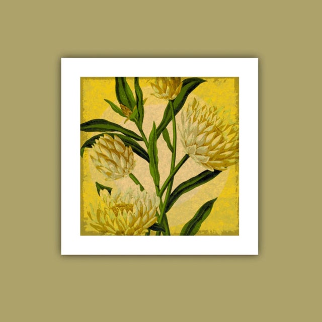 Farmhouse Antique "Yellow Floral" Archival Print For Sale - Image 3 of 4