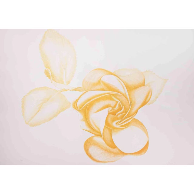 Giacomo Porzano, Yellow Rose, 1970s, Etching For Sale