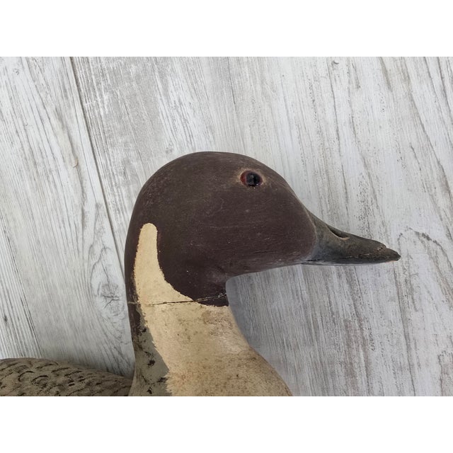 Folk Art 1975 Bob Sitton Hand-Carved Northern Pintail Life-Size Duck Decoy - Rare First Year For Sale - Image 3 of 12