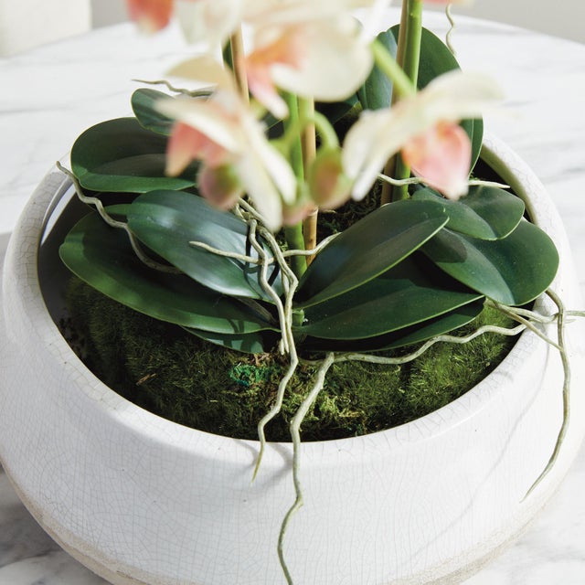 Wood Phalaenopsis 16" Mini Garden Drop-In For Sale - Image 7 of 8