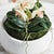 Wood Phalaenopsis 16" Mini Garden Drop-In For Sale - Image 7 of 8