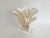 Late 20th Century Natural Rugosa Coral on an Acrylic Base For Sale - Image 5 of 8
