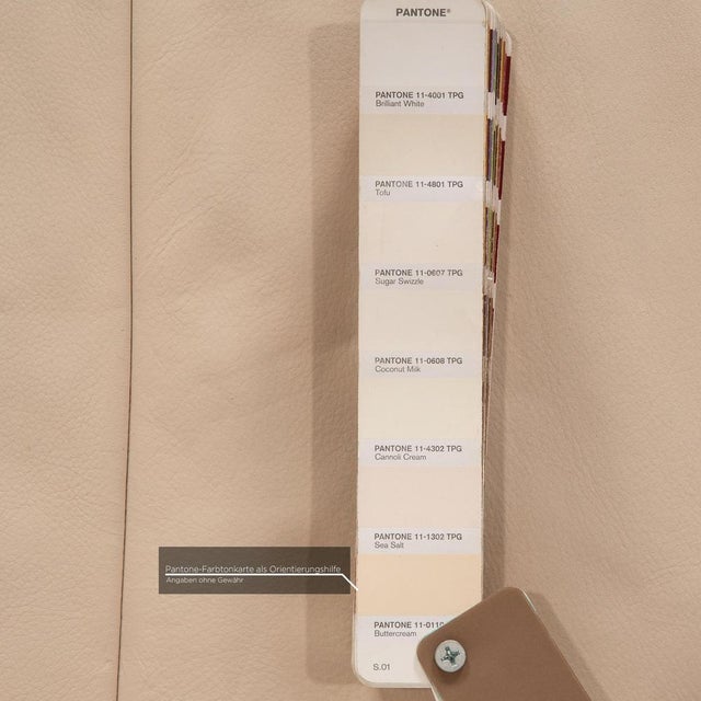 Animal Skin Cream Leather Rossini 2-Seater Sofa from Koinor For Sale - Image 7 of 13