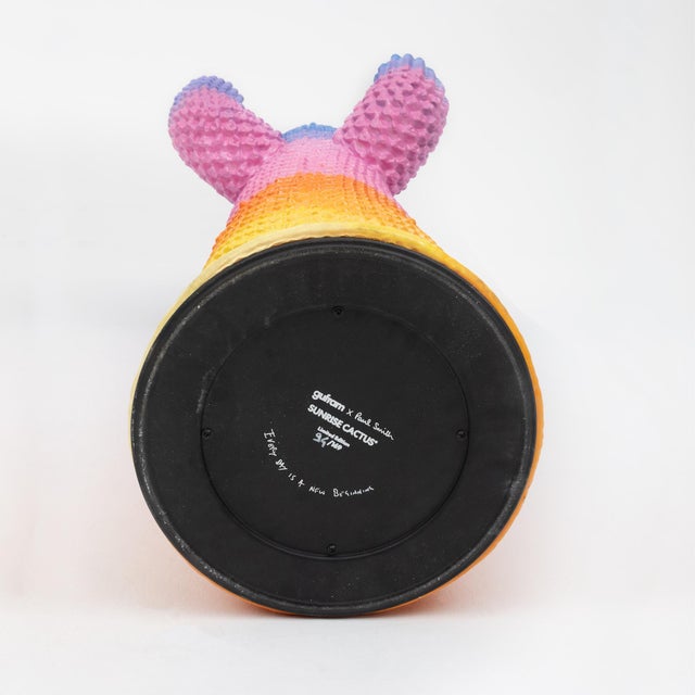 Gufram X Paul Smith “Sunrise Cactus” Limited Edition Sculpture No. 94/169 For Sale - Image 9 of 17