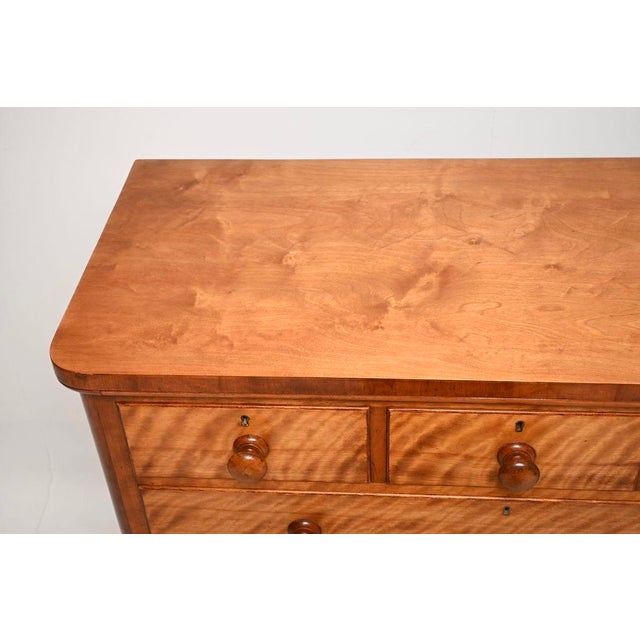 Large Antique Victorian Satin Wood Chest of Drawers, 1840 For Sale - Image 6 of 10