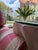 English A Pair of Custom Pink Plaid Pleated Skirt Lounge Chairs With Rolled Arms For Sale - Image 3 of 18