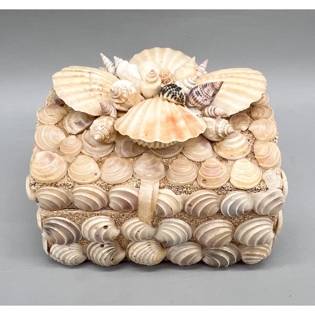 Vintage Handmade Seashell Encrusted Lidded Box – Coastal / Organic Modern For Sale - Image 14 of 14