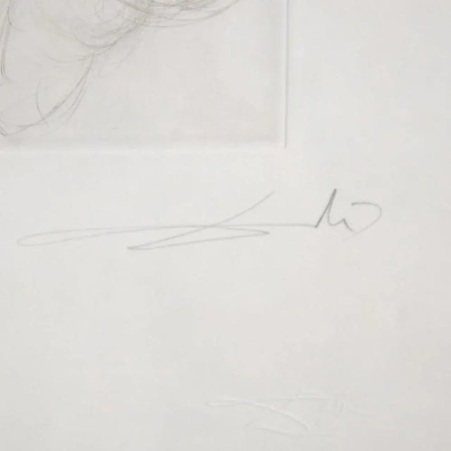 Salvador Dali, Petit nüs Ronsard, 20th Century, Etching For Sale - Image 4 of 5
