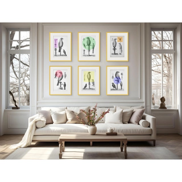 Set of 6 - Framed Installation - Vintage Bird Watercolor Prints With Contemporary Color Accents. *Chairish Exclusive....
