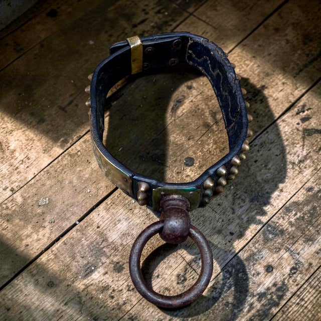 Metal French Studded Leather Dog Collar with Brass Nameplate, 19th Century For Sale - Image 7 of 8
