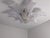 Large Art Deco Style Murano Glass Palm Leaf Ceiling Light from Mazzega, Italy 1960s For Sale - Image 3 of 11