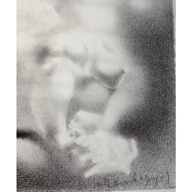 Ipousteguy, 1981 i.m. Lion, Paris, Printed in France For Sale - Image 6 of 8