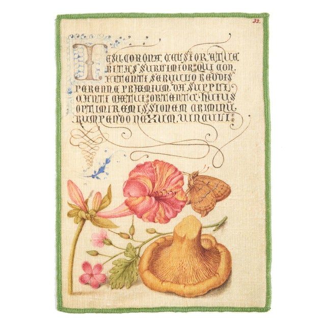 Our Botanical collection of napkins and tea towels features antique natural history engravings and watercolors with a bit...