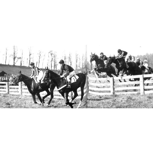 "Steeplechasing" 2001 Winants, Peter For Sale - Image 10 of 11