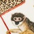 8 Inch Accent Plate Monkey Magic by Lynn Chase Animalier Dinnerware For Sale - Image 4 of 12