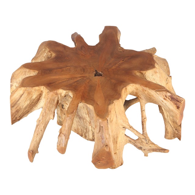 Round 36" Inch Organic Teak Root Coffee Table 27 For Sale