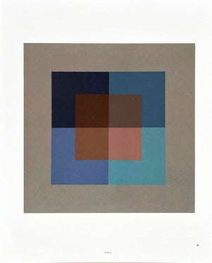 Josef Albers 2009 the Interaction of Color Plate Xvii-2