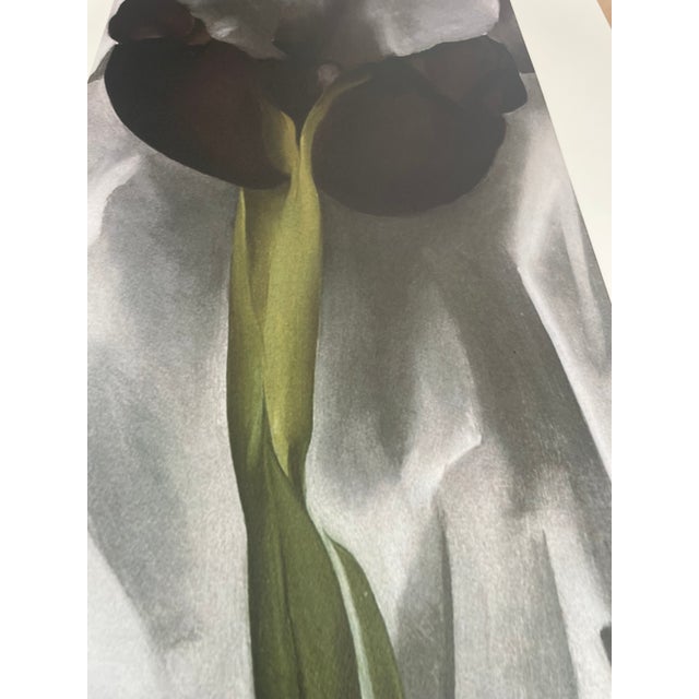 Paper Georgia O’Keeffe (1887-1986), Dark Iris I, 1927, Copyright 1999- G.O’Keeffe/SOFAM Belgique Editions Pierre D’ Harville, Printed in Italy For Sale - Image 7 of 9