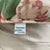 Waverly 100% Cotton Flowers Home Décor Pillows - pair of 16x16" bright floral pillows. Been in storage.