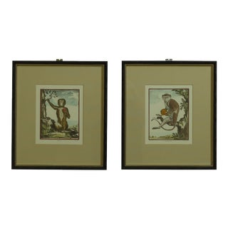 W. King Ambler French Monkey Prints Framed - a Pair For Sale