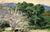 1990s Shaded Path in the California Hills - Original Oil on Canvas (Laid on Board) by Nancy Faisant For Sale - Image 5 of 9