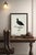 William Lewin 1789 Waterbirds Fine Art Gallery Board Print - The Coot For Sale - Image 4 of 12