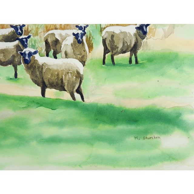 Mid 20th century watercolor on paper painting of pastoral scene with sheep. Signed M. Sturcken lower right corner....